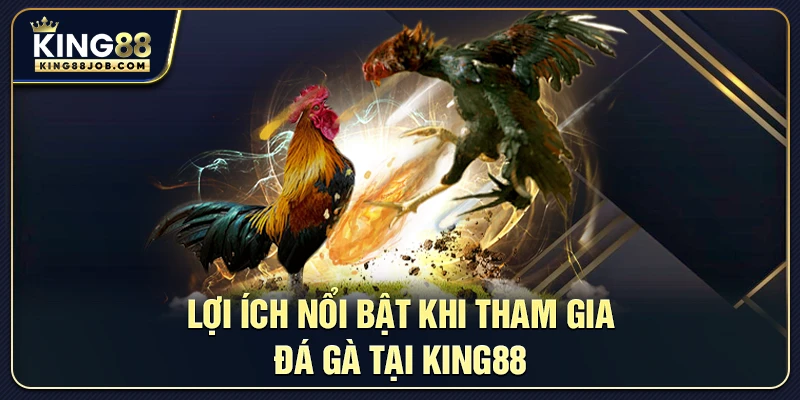 Đá Gà King88: Live Trực Tiếp Trận Đấu Và Tỷ Lệ Cược Mới 3 Những lợi ích lớn khi chơi đá gà tại King88