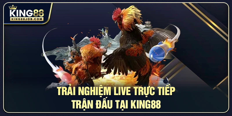 Đá Gà King88: Live Trực Tiếp Trận Đấu Và Tỷ Lệ Cược Mới 1 Trải nghiệm live đá gà trực tiếp tại King88 với chất lượng Full HD